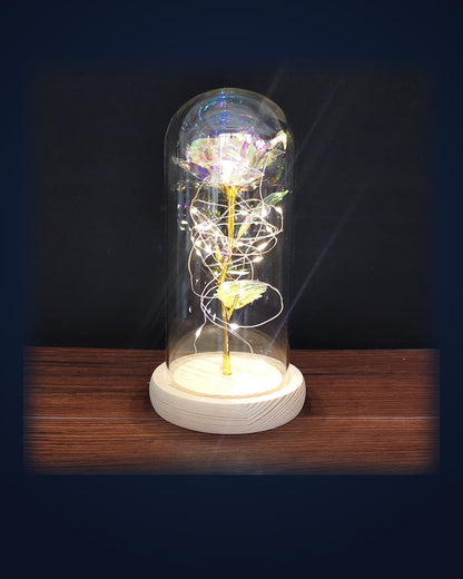 La Rose Éternelle glowing under its glass dome on navy