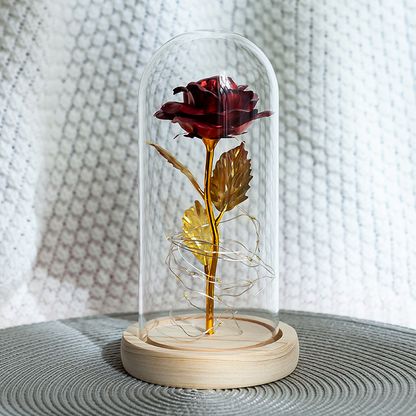 Red rose in a glass dome on a knit blanket
